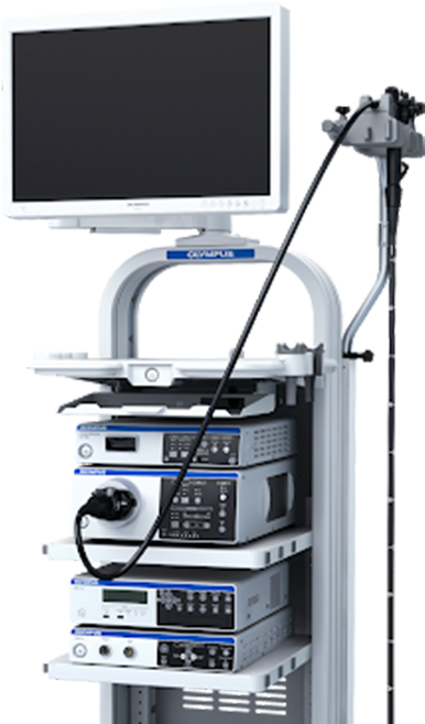 Olympus CV-290 내시경